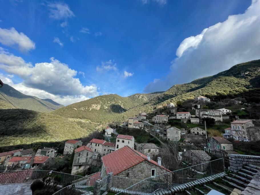 Casa Arena Authentique Maison De Village Avec Piscine Au Coeur De L'Alta Rocca - Zoza Exterior foto
